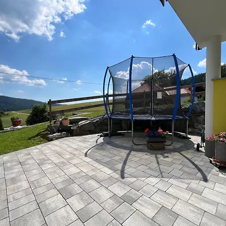 Panoramablick Zirbitzkogel Perchau am Sattel