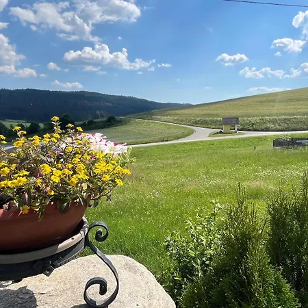 Panoramablick Zirbitzkogel 公寓 *